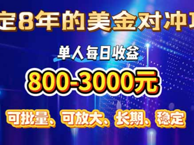 稳定8年的美金对冲创业项目，单人每日收益800-3000，小众爆栗项目