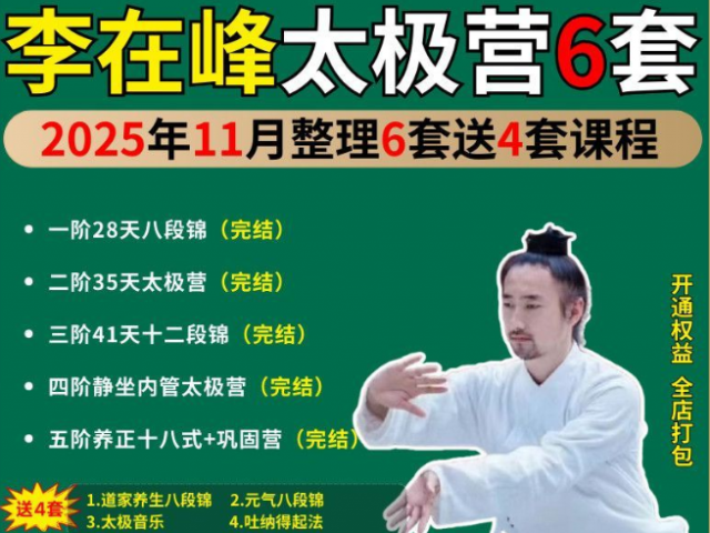 2025精选课程 李在峰太极营6套再加送4套课程高清视频教程